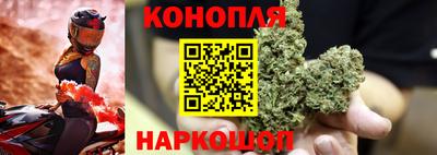 Альфа ПВП Кандалакша