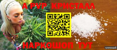 Альфа ПВП Кандалакша