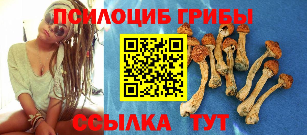 где можно купить наркотик  Галлюциногенные грибы мухоморы  Вход с VPN  Псилоцибиновые грибы GOLDEN TEACHER  Заводоуковск 